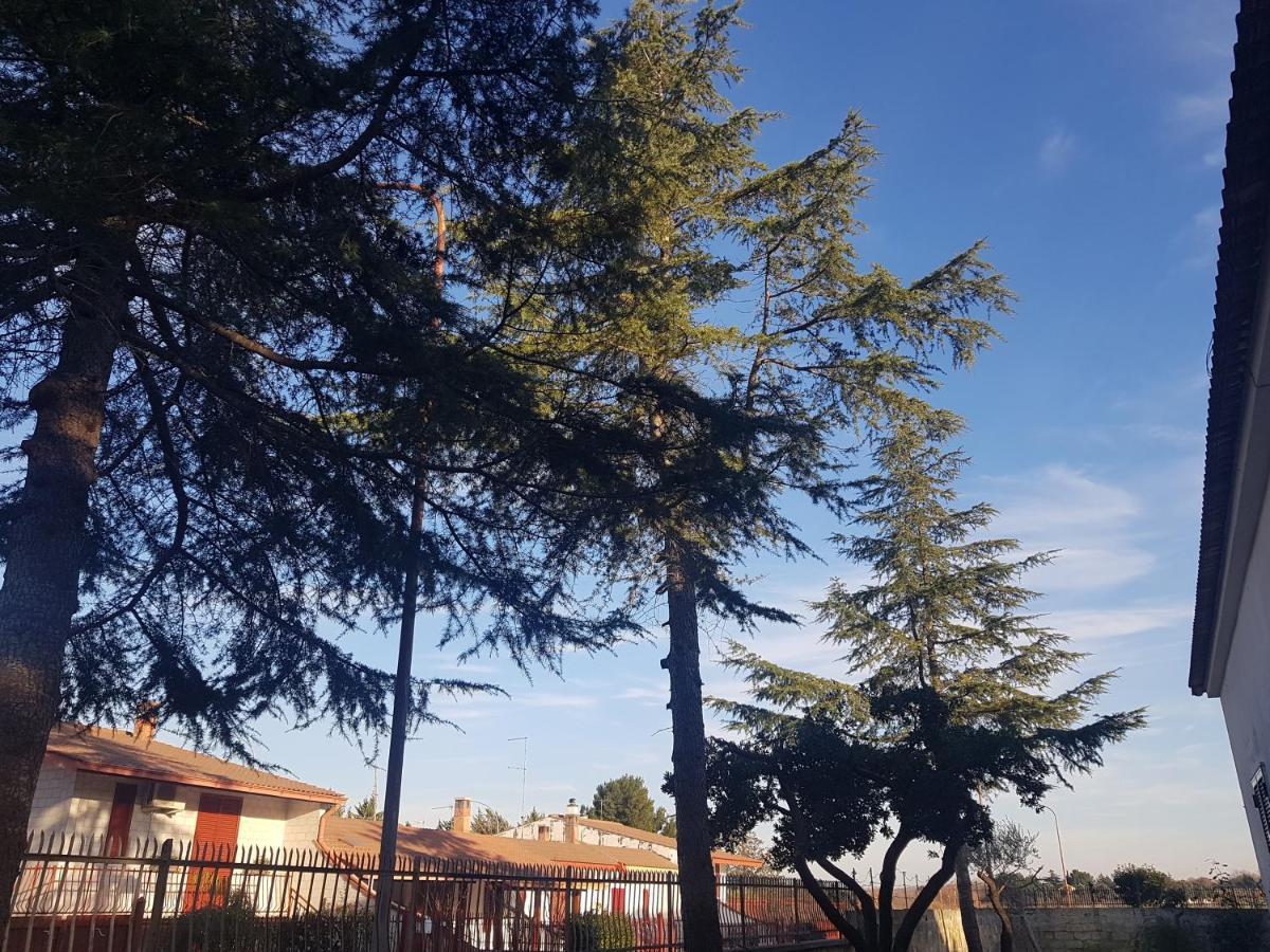 B&B La Pineta Quasani Luaran gambar